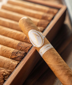 Davidoff Grand Cru Toro Cigar Bundle (Uncut)