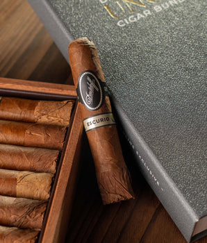 Davidoff Escurio Petit Robusto Cigar Bundle (Uncut)