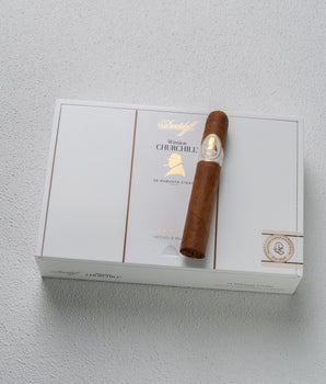 Davidoff Winston Churchill Robusto