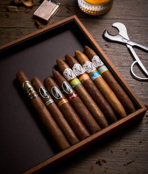 Avo x Davidoff The Four Seasons Bundle - nextCIGAR