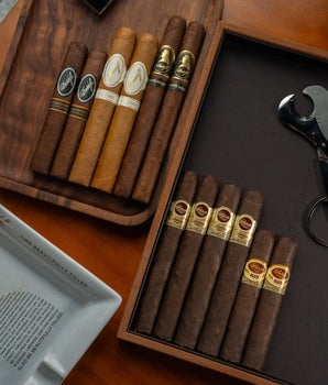 Padron Maduro x Davidoff Bundle