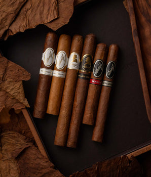 Padrón x Davidoff Classic Legends Bundle