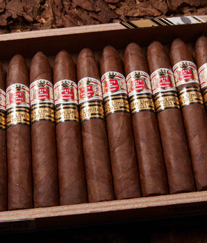 Hoyo de Monterrey Short Hoyo Pir??mides Edici??n Limitada 2011