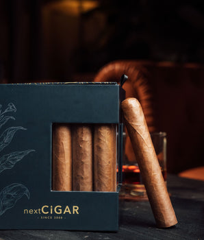 nextCIGAR下壹茄2024周年纪念限量版 戈多型