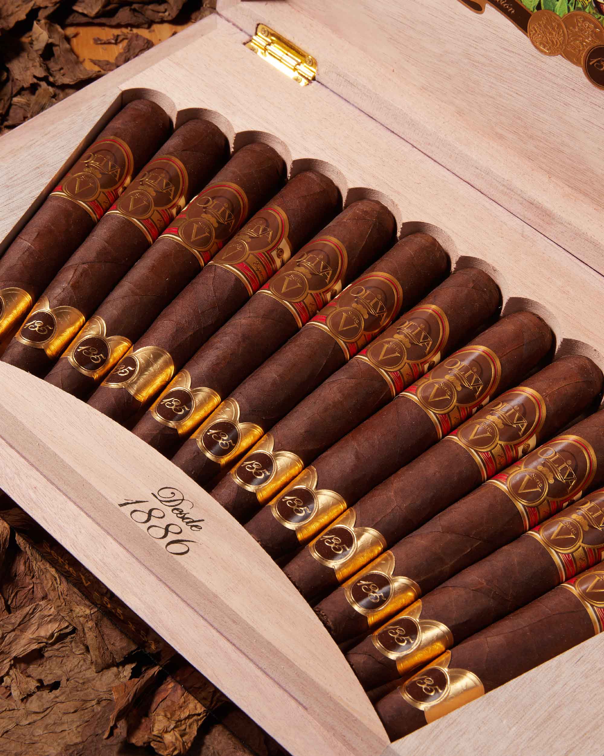 Oliva Serie V 135th Anniversary Edici??n Limitada