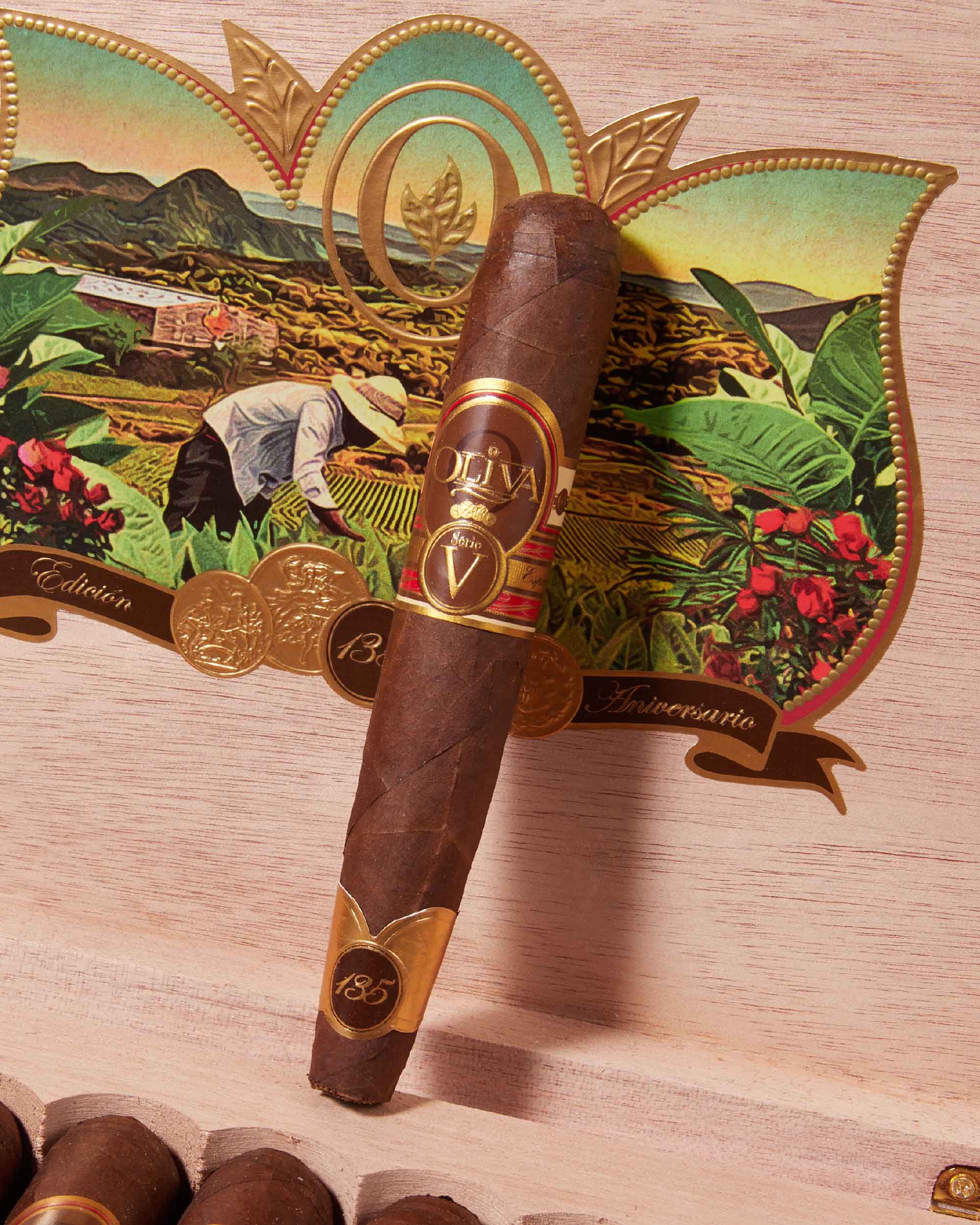 Oliva Serie V 135th Anniversary Edici??n Limitada