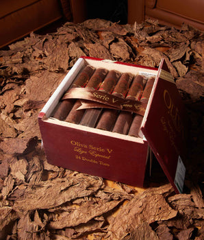 Oliva Serie V Double Toro