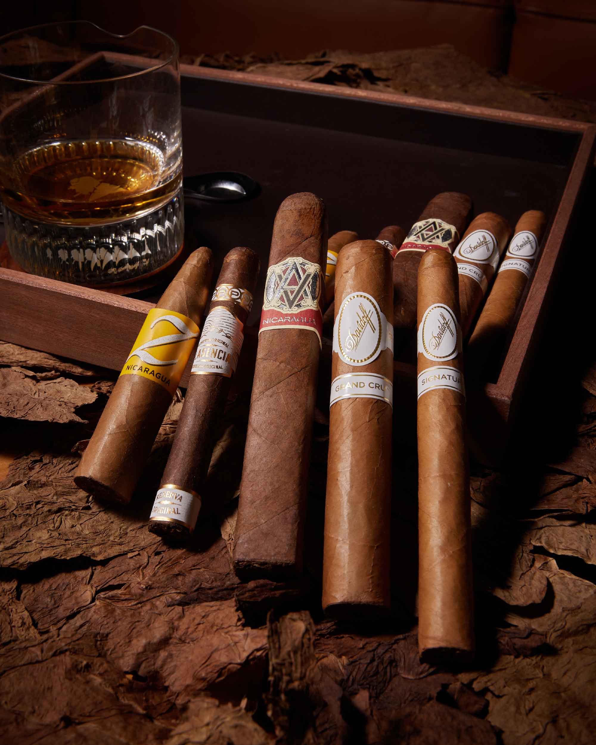 nextCIGAR Beginner Pack 2023 - Explore Smoke