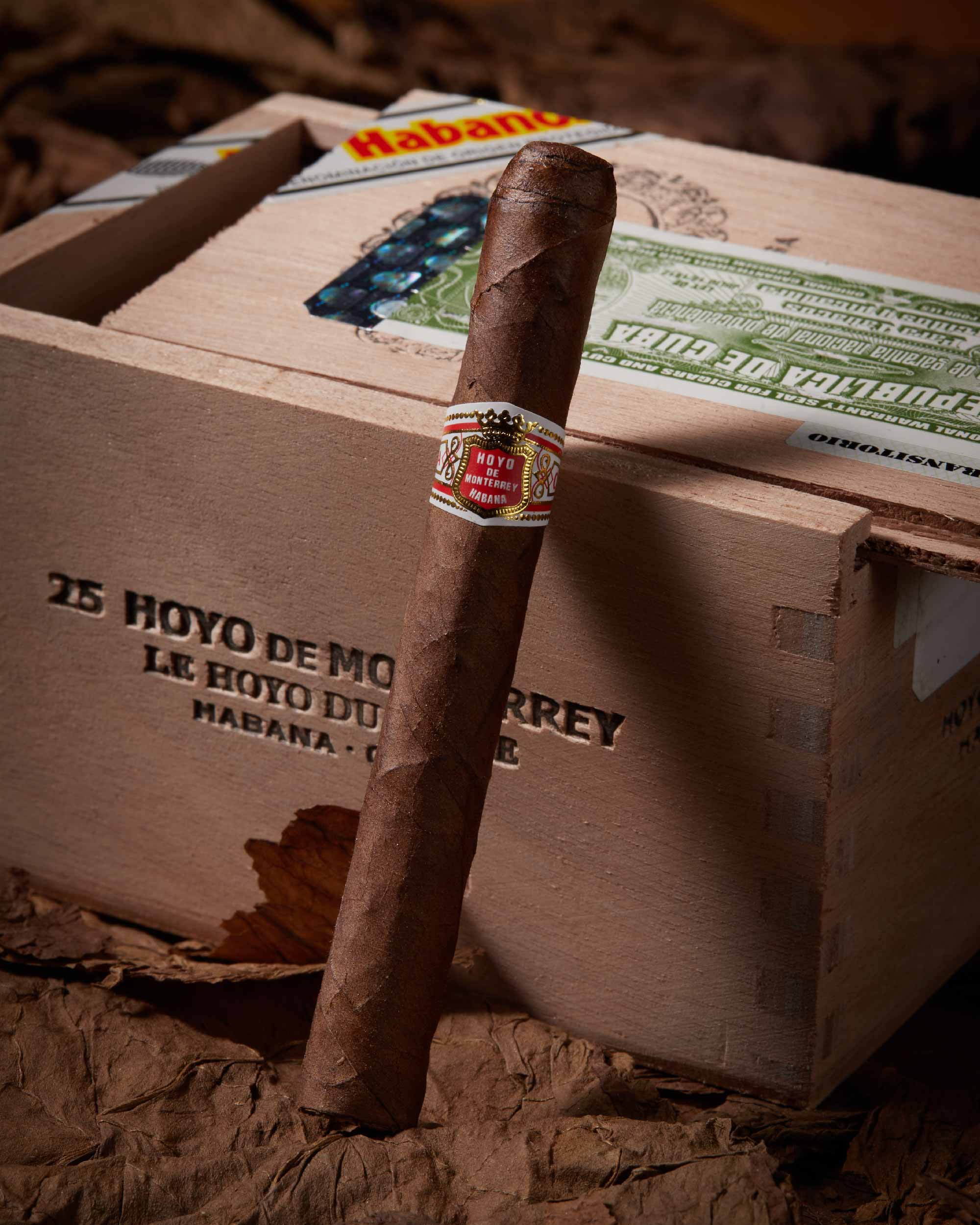 Hoyo de Monterrey Le Hoyo Du Maire