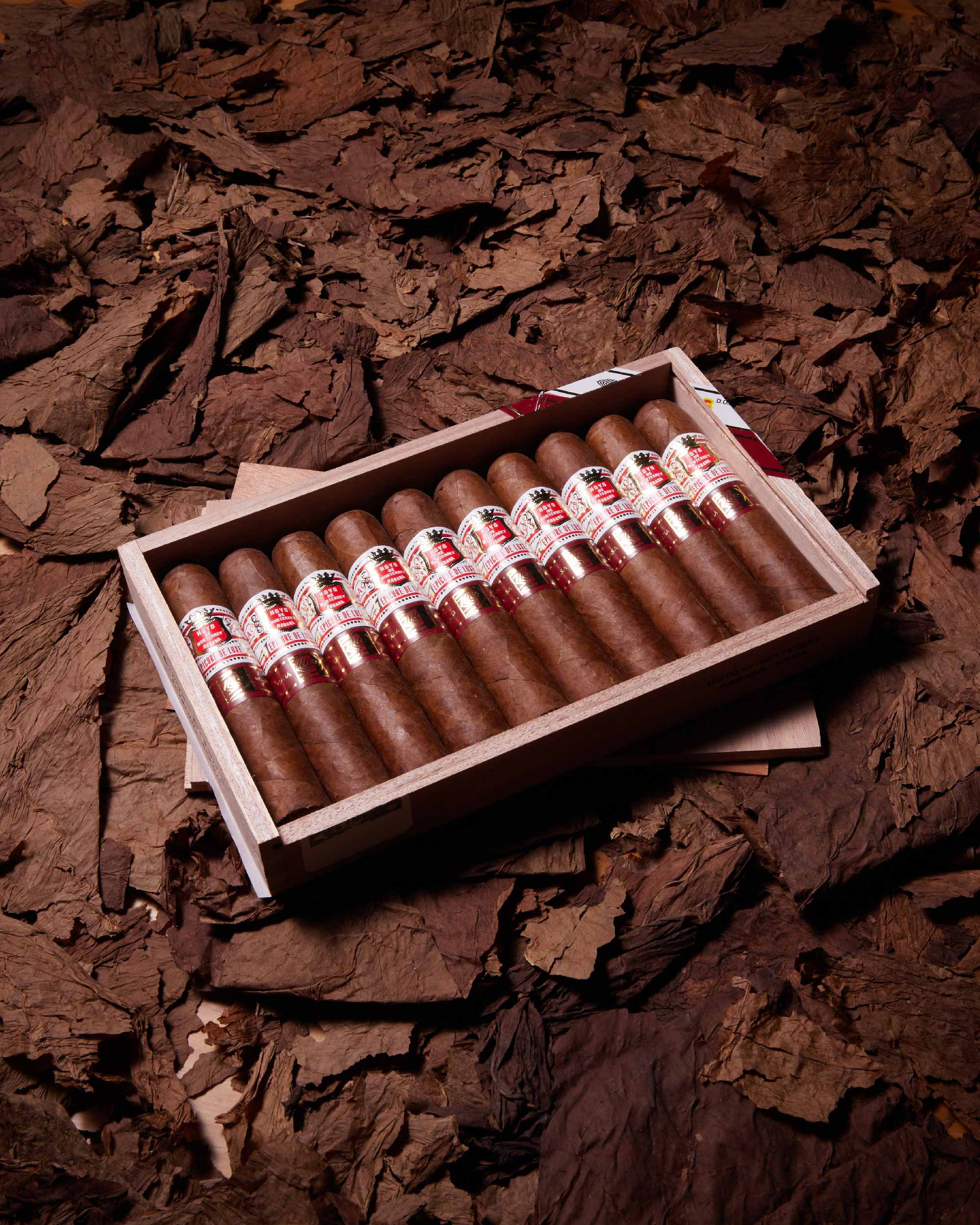 Hoyo de Monterrey Epicure Deluxe LCDH