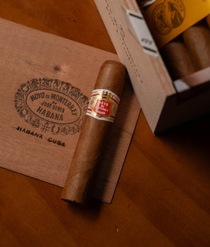 Hoyo De Monterrey Petit Robustos