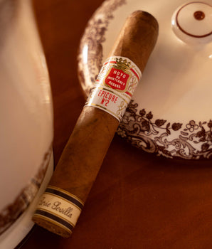 Hoyo de Monterrey Epicure No. 2 Serie Sevilla Jar