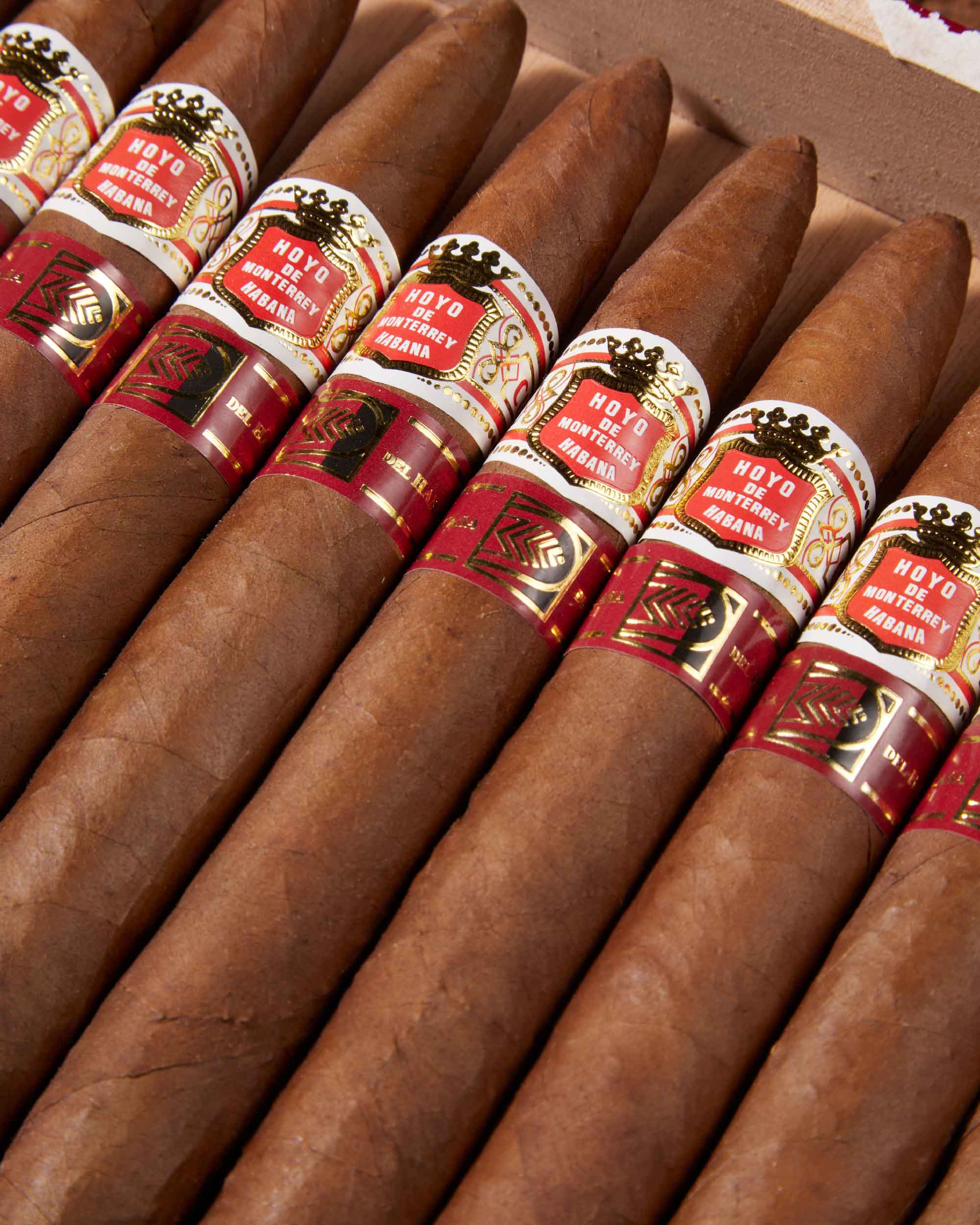 Hoyo de Monterrey Elegantes LCDH